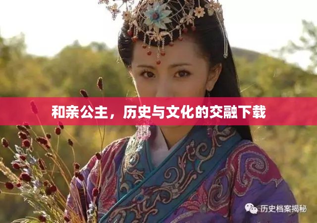 和亲公主，历史与文化的交融下载