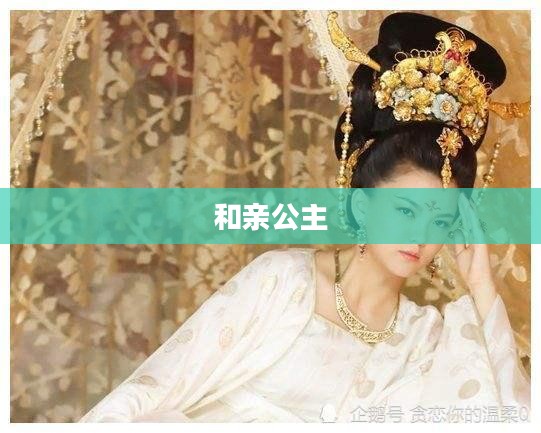 和亲公主，历史与文化的交融下载