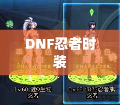 DNF忍者时装属性选择攻略