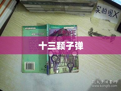 十三颗子弹的秘密