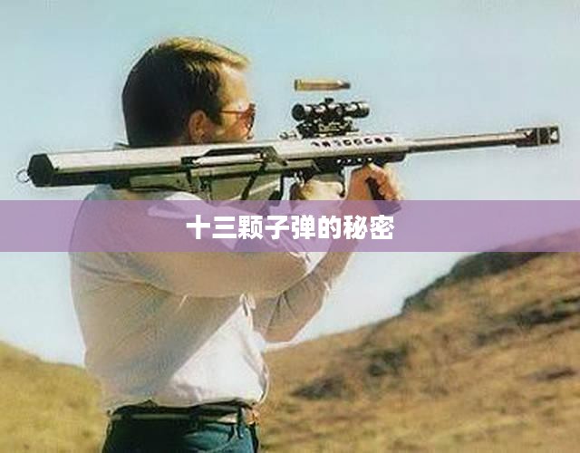 十三颗子弹的秘密
