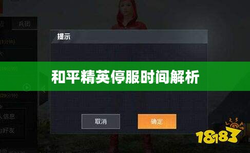 和平精英停服时间解析