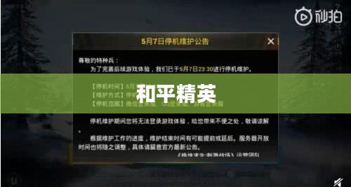 和平精英停服时间解析