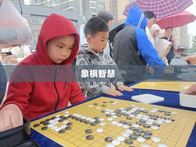 探索象棋,智慧的较量与文化的传承 探索象棋,智慧的较量与文化的传承