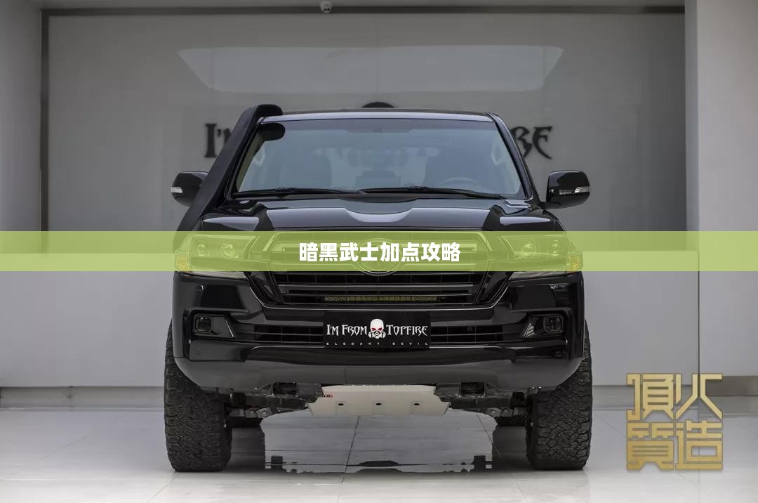 暗黑武士加点攻略，技能与属性分配策略