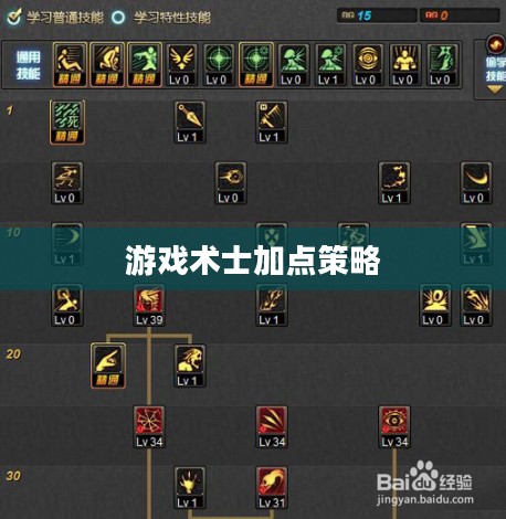 游戏术士的加点策略,掌握核心,提升实力 游戏术士的加点策略,掌握核心,提升实力