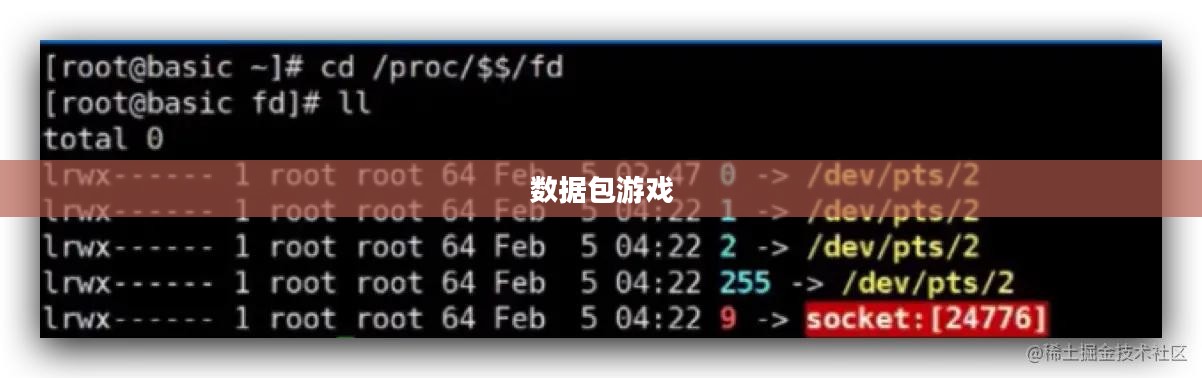 数据包游戏，数字时代的全新互动体验