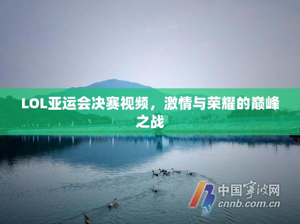 LOL亚运会决赛视频，激情与荣耀的巅峰之战
