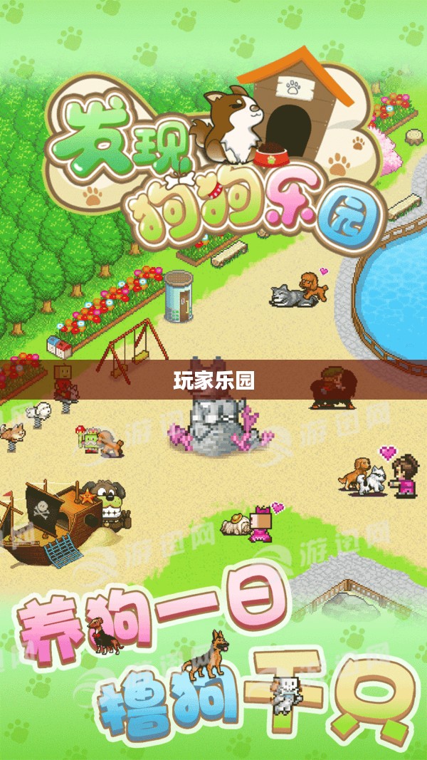 纵横天下官网，游戏世界的门户与玩家乐园