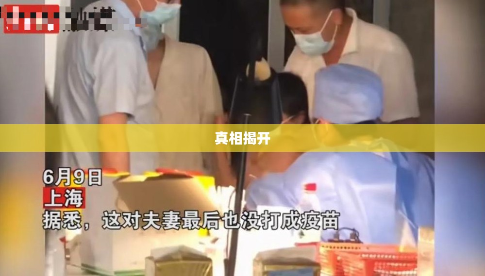 破破岛解密，揭开神秘面纱下的真相