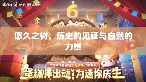 悠久之树，历史的见证与自然的力量