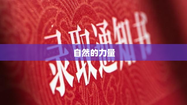 悠久之树,历史的见证与自然的力量 悠久之树,历史的见证与自然的力量