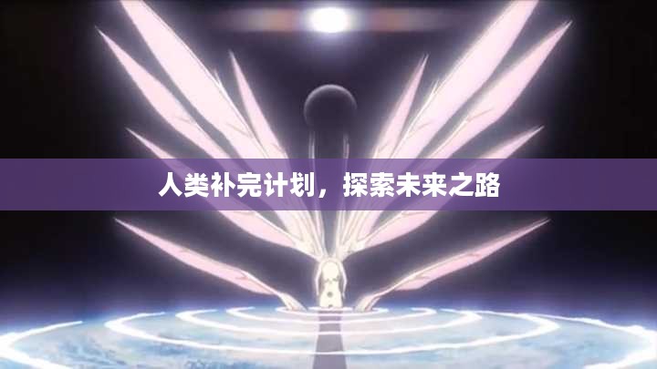 人类补完计划，探索未来之路