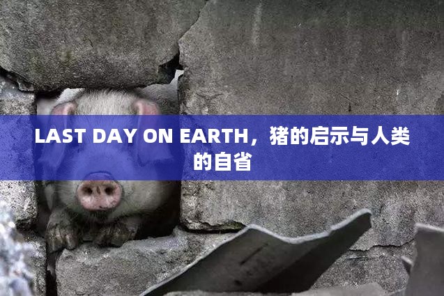 LAST DAY ON EARTH,猪的启示与人类的自省 LAST DAY ON EARTH,猪的启示与人类的自省