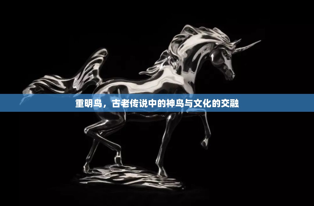 重明鸟，古老传说中的神鸟与文化的交融