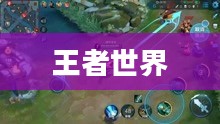 王者世界,荣耀与征途 王者世界,荣耀与征途