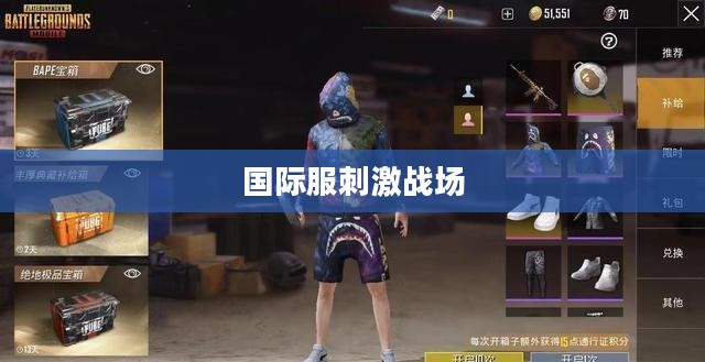 国际服刺激战场,玩家的新战场 国际服刺激战场,玩家的新战场