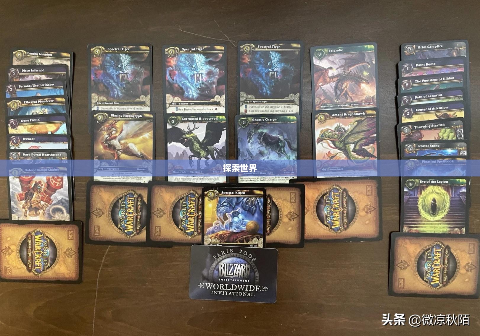 探索幽灵虎宝宝的世界