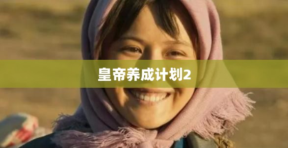 皇帝养成计划2，权力与智慧的角逐