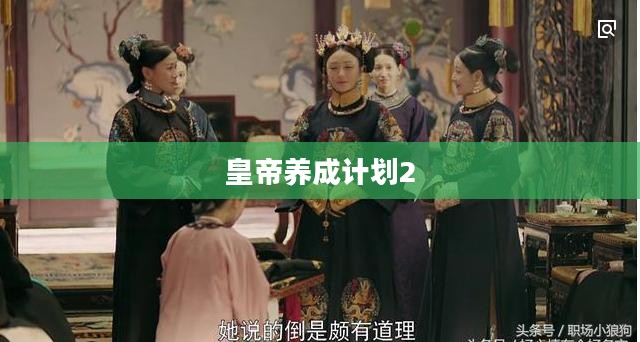 皇帝养成计划2,权力与智慧的角逐 皇帝养成计划2,权力与智慧的角逐