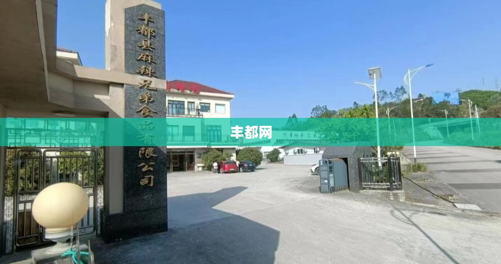 丰都网，连接数字世界的桥梁
