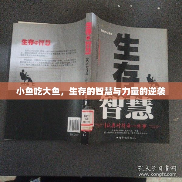 小鱼吃大鱼,生存的智慧与力量的逆袭 小鱼吃大鱼,生存的智慧与力量的逆袭