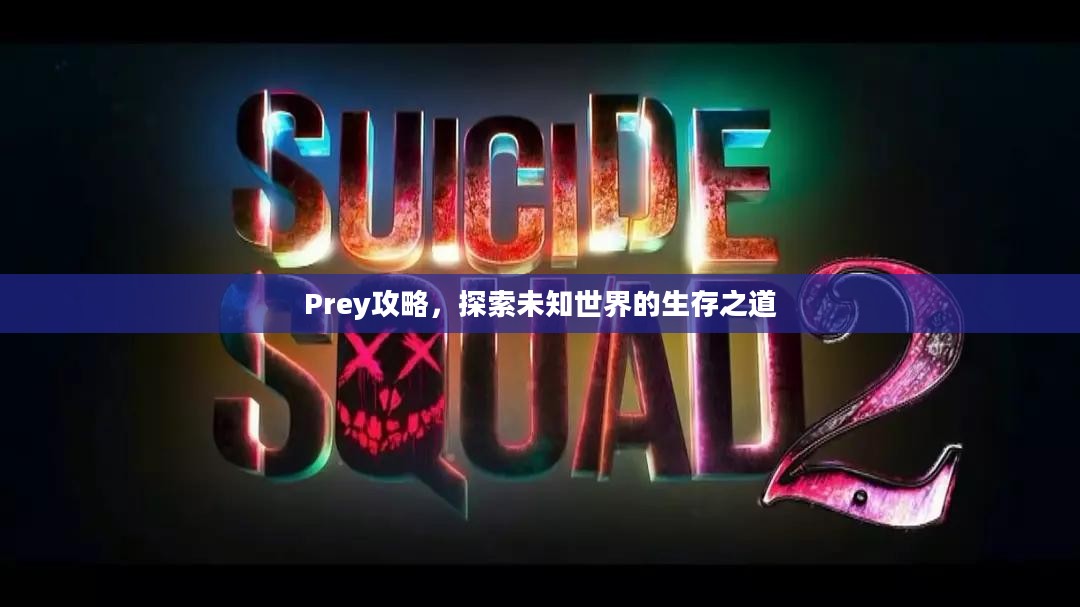 Prey攻略，探索未知世界的生存之道