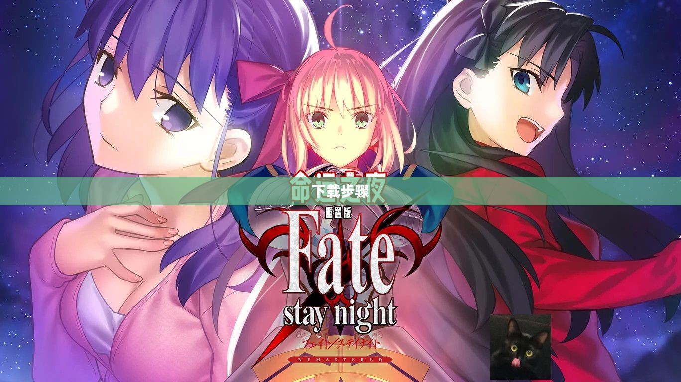 《命运之夜：最终幻想》下载步骤
