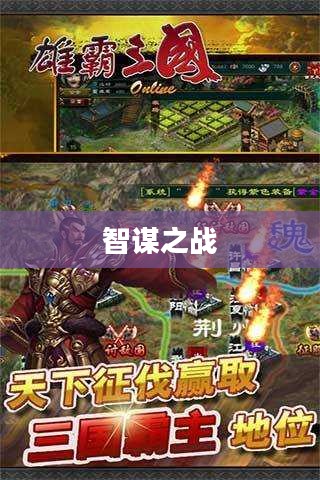 雄霸三国,乱世英雄与智谋之战 雄霸三国,乱世英雄与智谋之战