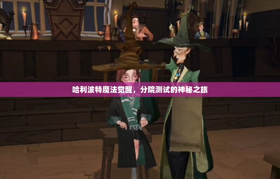 哈利波特魔法觉醒,分院测试的神秘之旅 哈利波特魔法觉醒,分院测试的神秘之旅