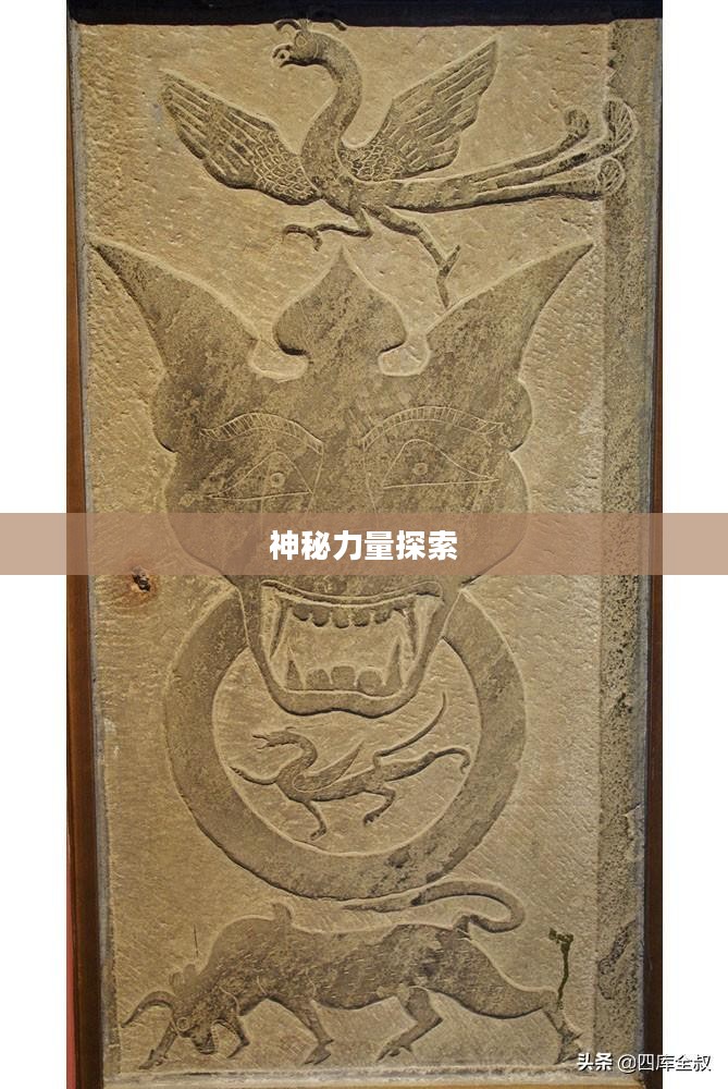 神龙之翼，探索神秘力量的奥秘