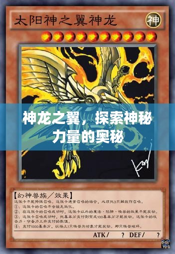 神龙之翼,探索神秘力量的奥秘 神龙之翼,探索神秘力量的奥秘