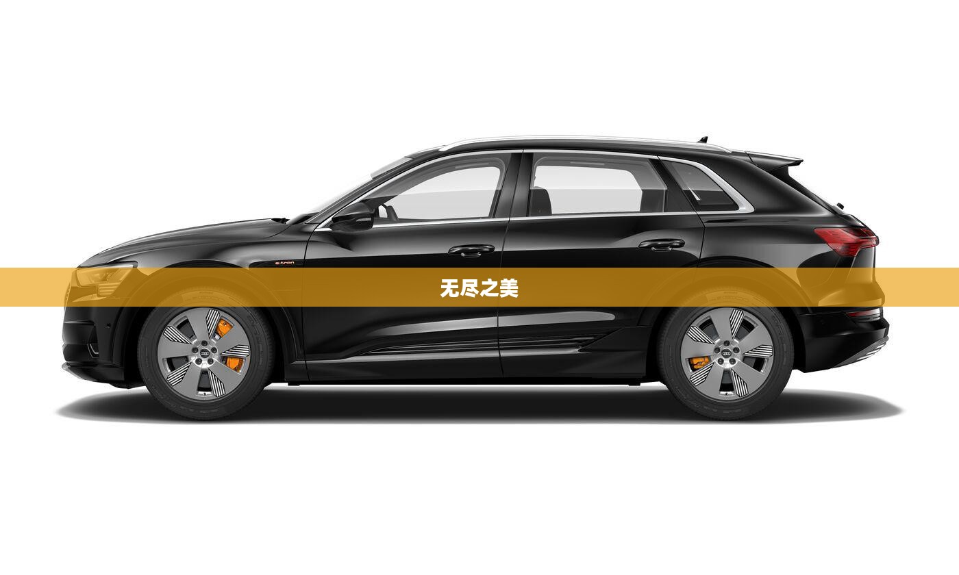 天天游，探索无尽的旅程之美