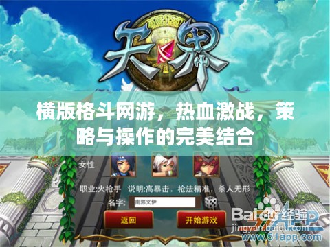 横版格斗网游，热血激战，策略与操作的完美结合