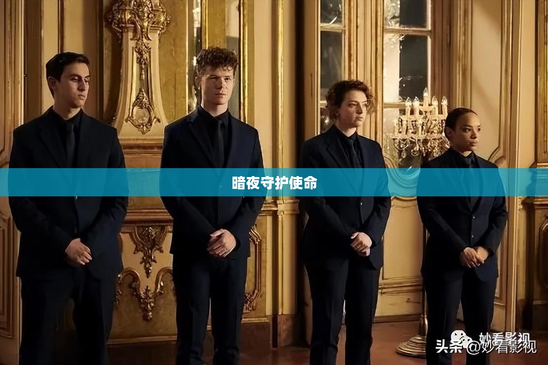 吸血鬼守护者，暗夜中的守护使命