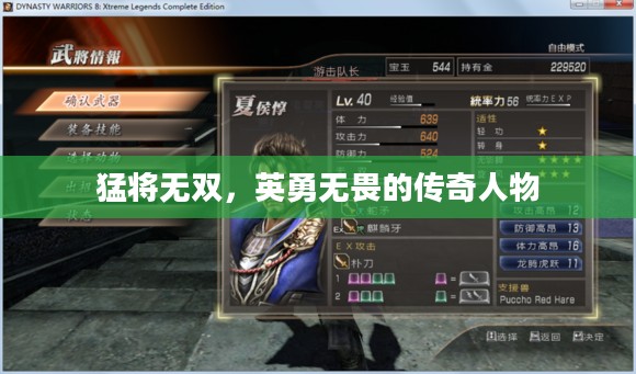 猛将无双，英勇无畏的传奇人物