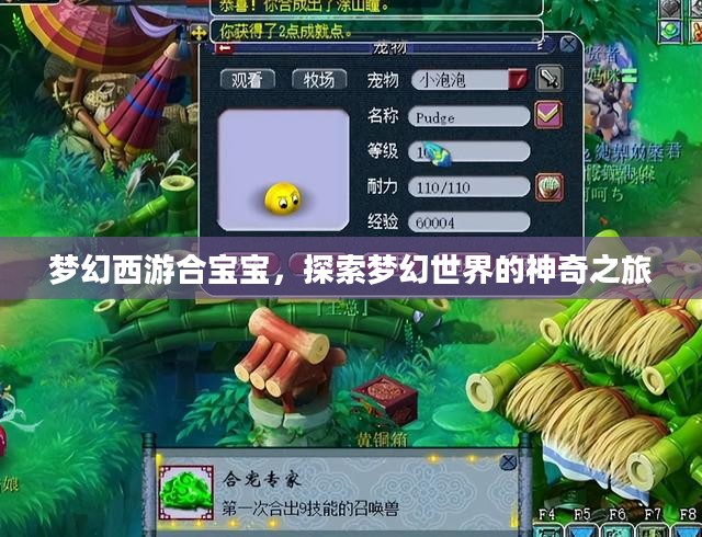 梦幻西游合宝宝，探索梦幻世界的神奇之旅
