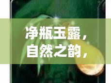 净瓶玉露，自然之韵，生命之美