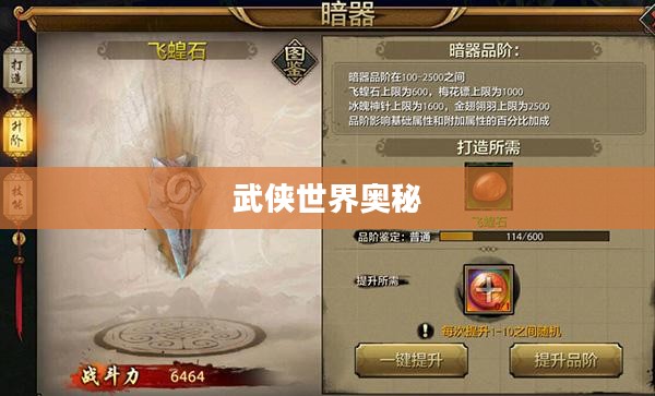天龙八部秘籍，探寻武侠世界的奥秘