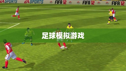 FIFA 12下载，探索足球模拟游戏的新篇章