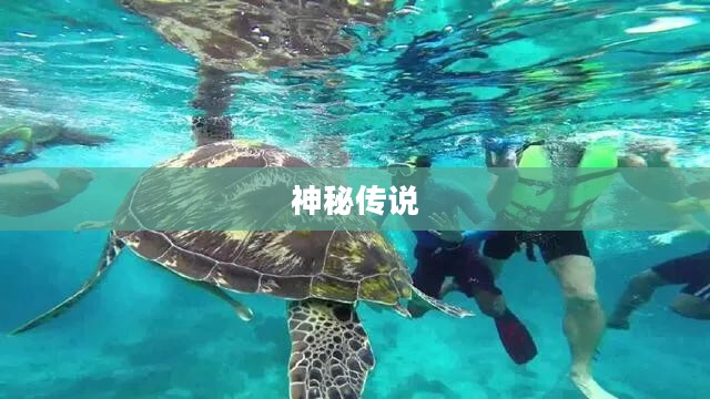 神仙岛的传说与神秘魅力