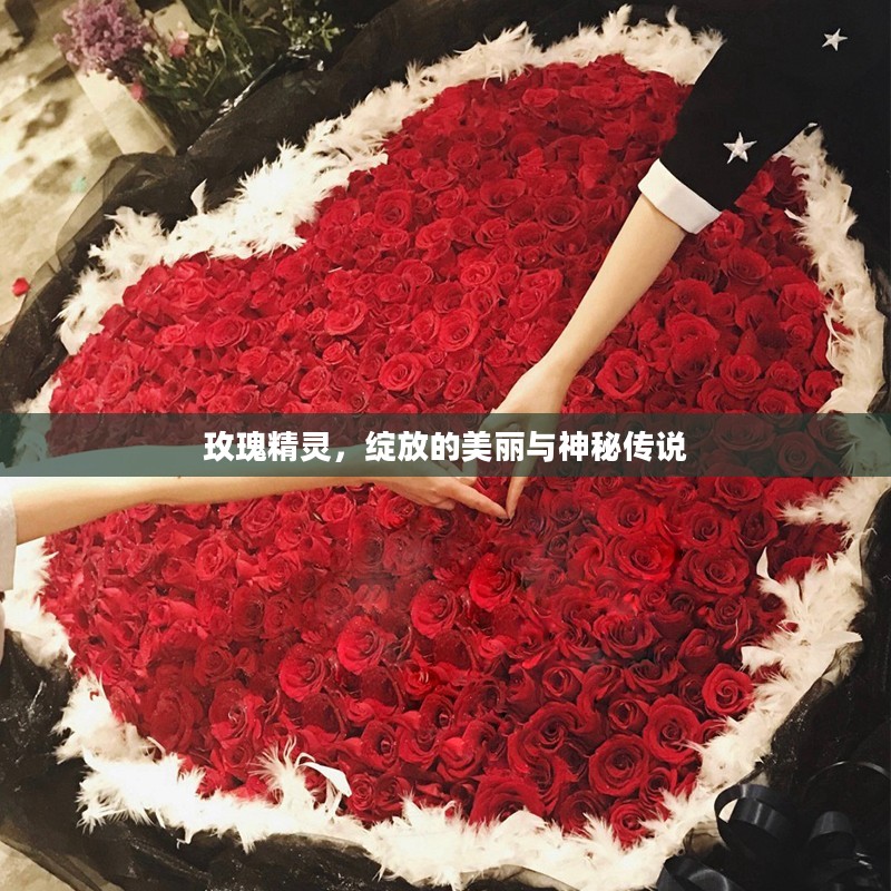 玫瑰精灵,绽放的美丽与神秘传说 玫瑰精灵,绽放的美丽与神秘传说