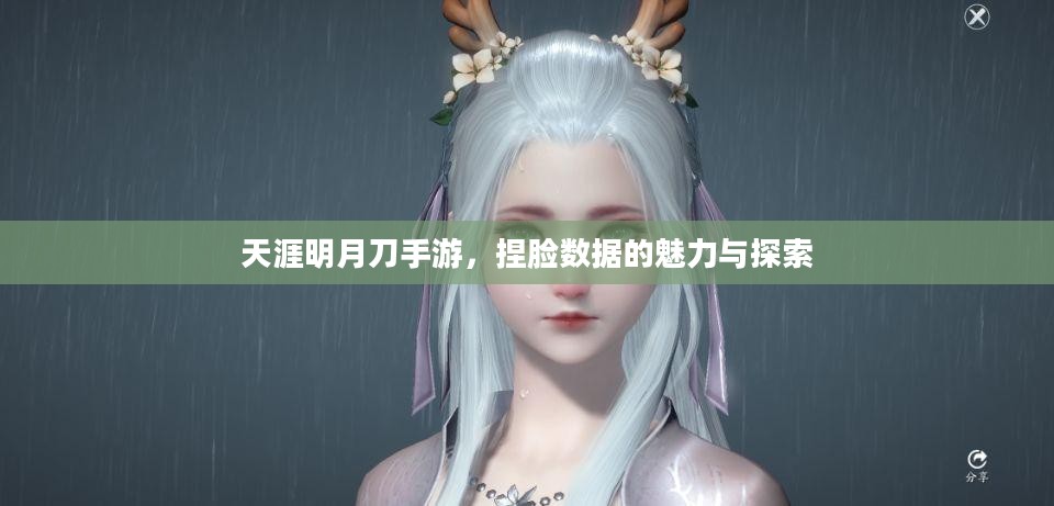 天涯明月刀手游,捏脸数据的魅力与探索 天涯明月刀手游,捏脸数据的魅力与探索