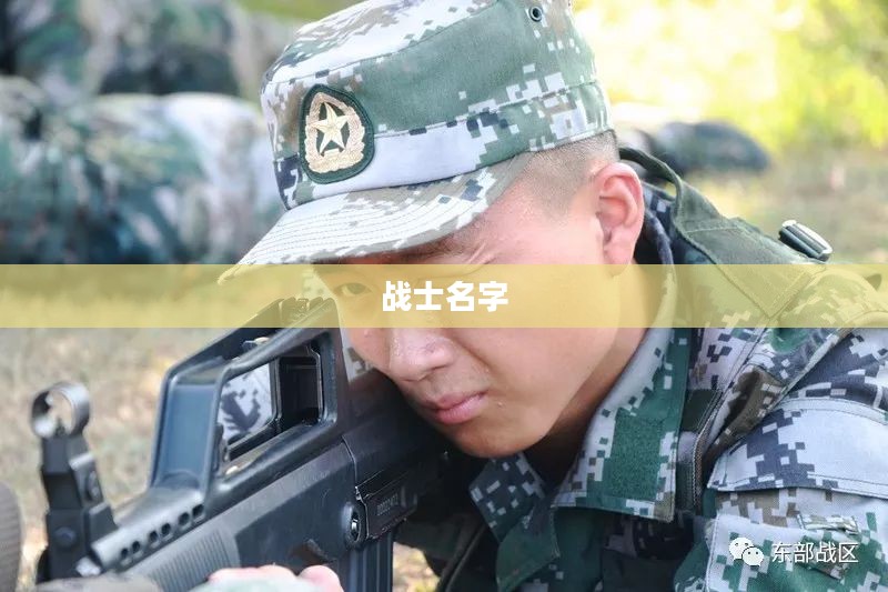探寻好听战士名字的奥秘