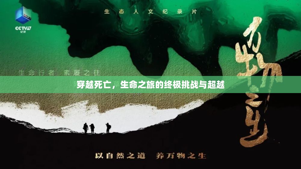 穿越死亡，生命之旅的终极挑战与超越