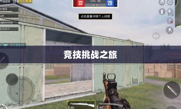 和平精英测试，探索竞技之巅的挑战之旅