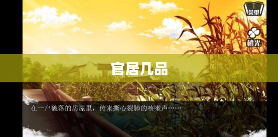 官居几品，历史与文化的深度解读与下载体验
