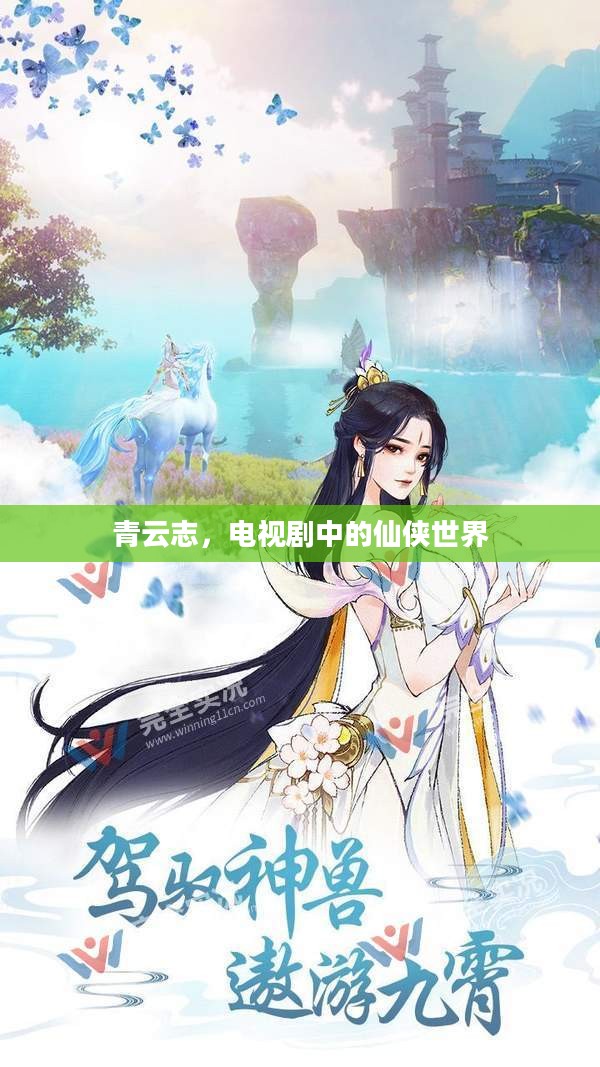 青云志,电视剧中的仙侠世界 青云志,电视剧中的仙侠世界