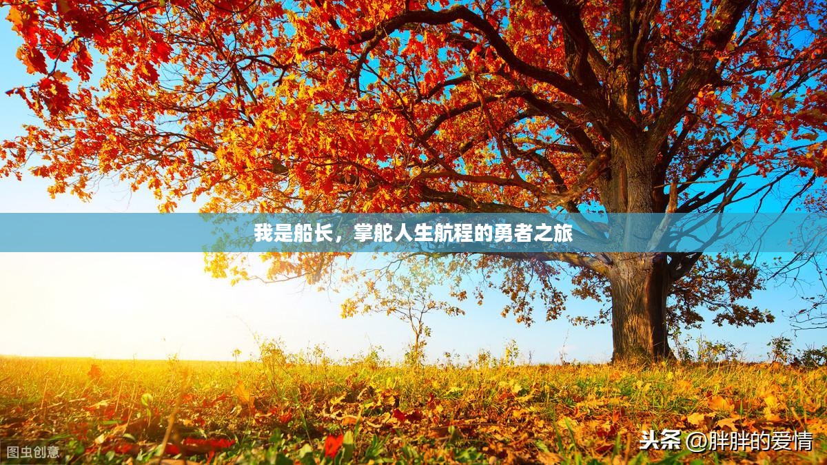 我是船长，掌舵人生航程的勇者之旅