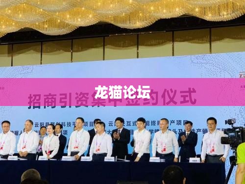龙猫论坛，探索与交流的乐园